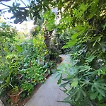 Botanika Hostel