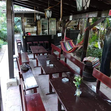 旅馆 Botanika *