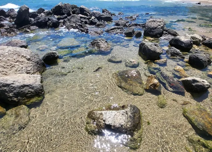 Хостел Botanika *