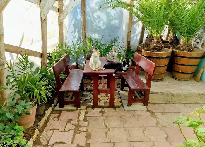 Botanika Хостел *