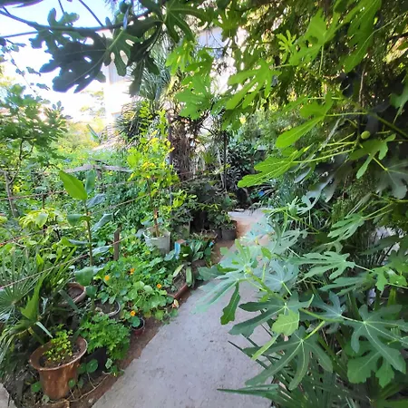 Botanika Hostal