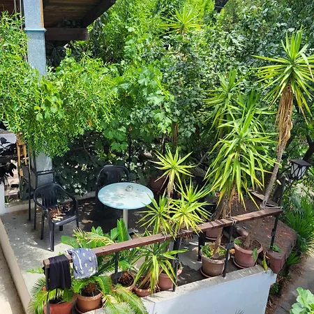 Hostel Botanika