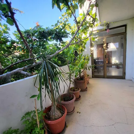 Botanika Hostel