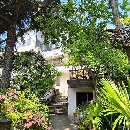 Botanika