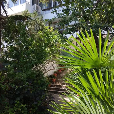 Hostel Botanika