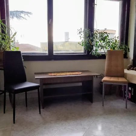 Hostal Botanika *