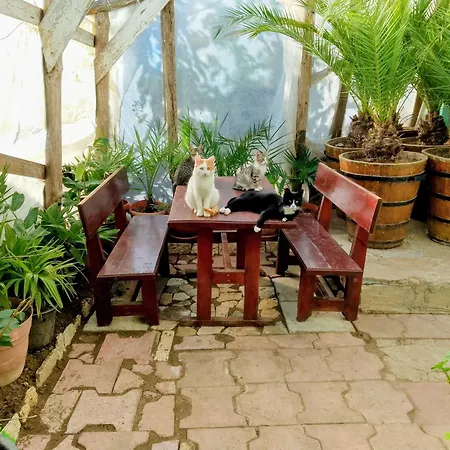 Botanika Hostal *