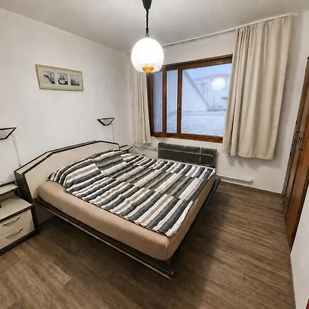 Hostal Botanika