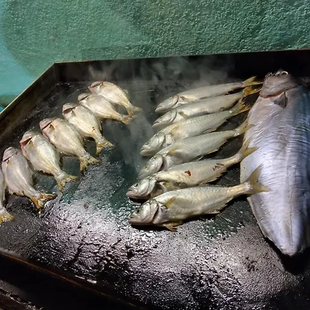 Botanika Hostal *