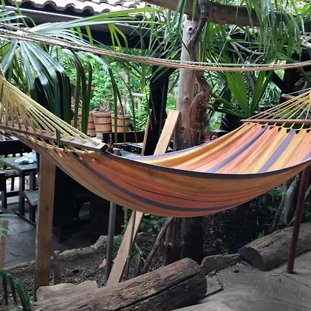 Botanika Hostel