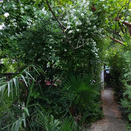 Hostal Botanika *