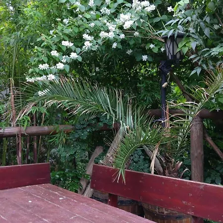 Botanika Hostal *