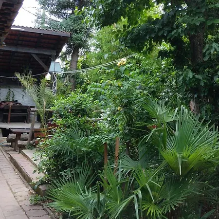 Botanika Hostel Varna